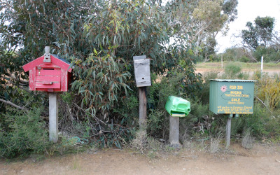 The buzz on the tenants of postbox 321, Kangaroo Island