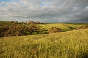 Barossa Valley: Food & Wine Heaven