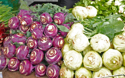 On the road in Australia: “The Great Kohlrabi Challenge”