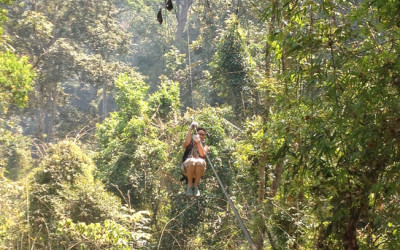 The Gibbon Experience in Laos