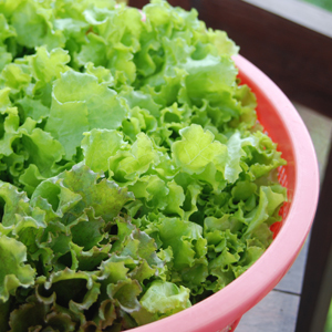 Lao ingredients