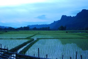 Peaks & paddies, Southern Laos