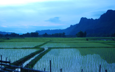 Peaks and Paddies, Southern Laos