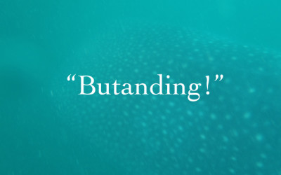 “Butanding!”