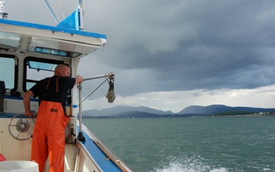 Of Lobsters and Men in Maine