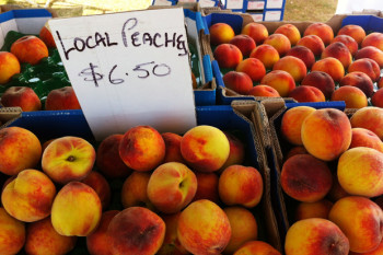 Australia roadtrip: Grilled Peaches & Cream