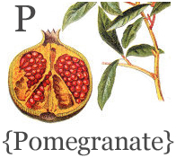 pomegranate