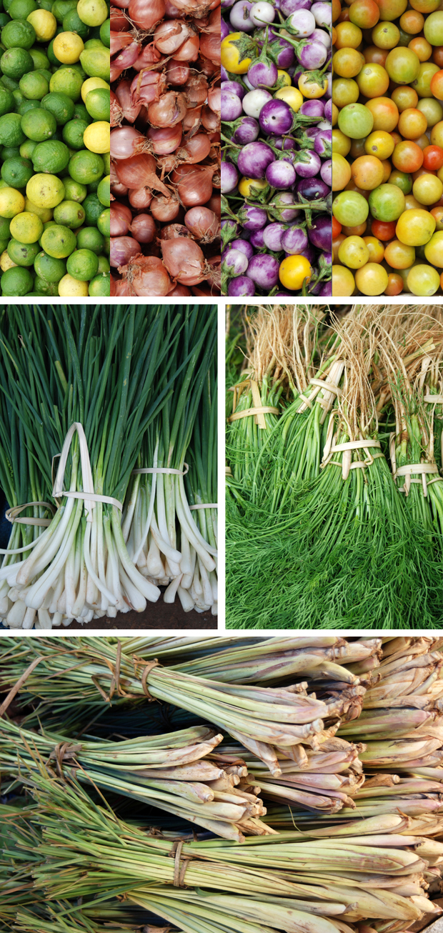 Lime, shallot, pea eggplant, tomato; scallion, dill; lemongrass. Just a few of the fresh and herbacious flavours of Lao food.